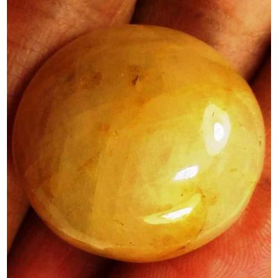 61.15 Carats Yellow Cabs Sapphire 22.74 x 21.79 x 11.18 mm