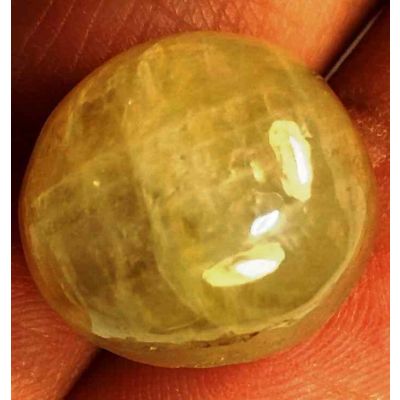 19.43 Carats Yellow Cabs Sapphire 14.49 x 13.44 x 9.25 mm