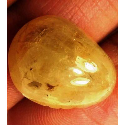 23.61 Carats Yellow Cabs Sapphire 16.79 x 13.12 x 10.30 mm