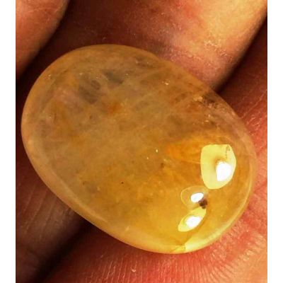19.67 Carats Yellow Cabs Sapphire 19.33 x 14.20 x 6.41 mm