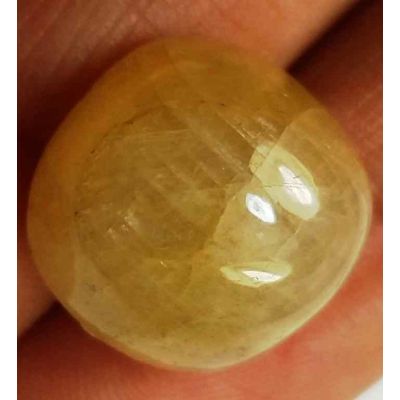 22.79 Carats Yellow Cabs Sapphire 14.13 x 13.67 x 10.35 mm