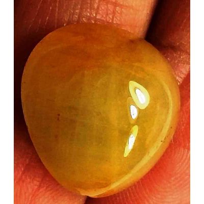 19.73 Carats Yellow Cabs Sapphire 16.12 x 14.81 x 8.65 mm