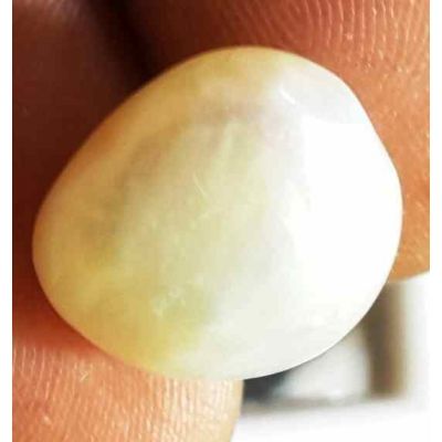 6.51 Carat Venezuela Pearl 12.22 X 10.78 X 6.03 mm