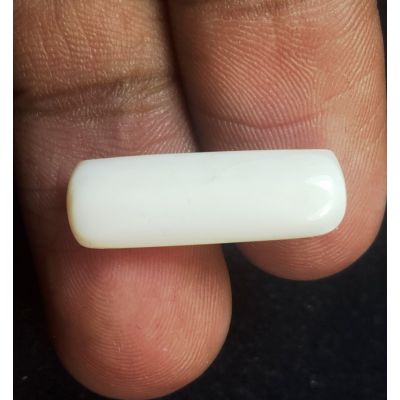 8.57 Carats Natural White Coral 20.86 x 6.81 x 6.36 mm
