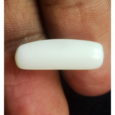 6.23 Carats Natural White Coral 18.36 x 6.36 x 6.01 mm