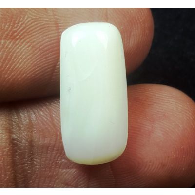 7.90 Carats Natural White Coral 16.84 x 7.96 x 6.40 mm