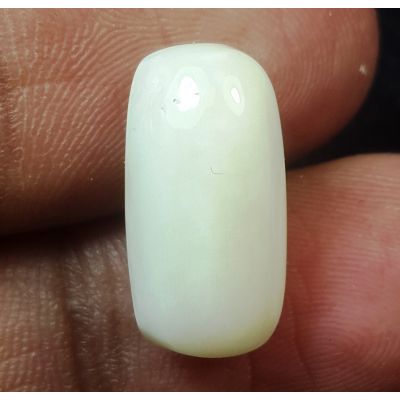 8.32 Carats Natural White Coral 15.87 x 8.28 x 6.97 mm
