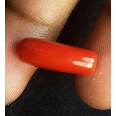 6.57 Carats Natural Red Coral 18.41 X 6.40 X  6.16 mm