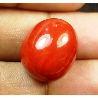 29.09 Carats Natural Italian Red Coral 18.64x16.04x11.74mm