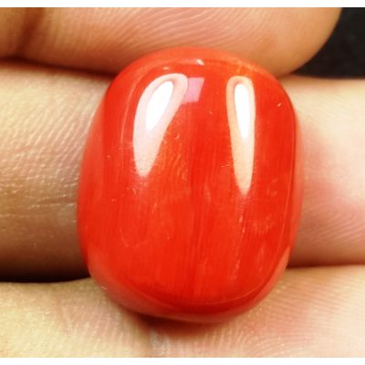22.00 Carats Natural Italian Red Coral 19.09x15.83x7.90mm