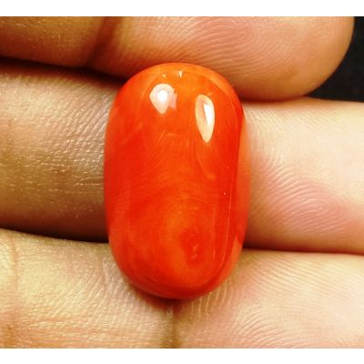 17.41 Carats Natural Italian Red Coral 19.87x12.12x8.06mm