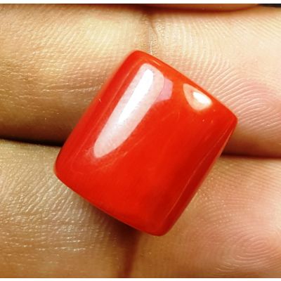 18.49 Carats Natural Italian Red Coral 14.38x12.93x10.48mm