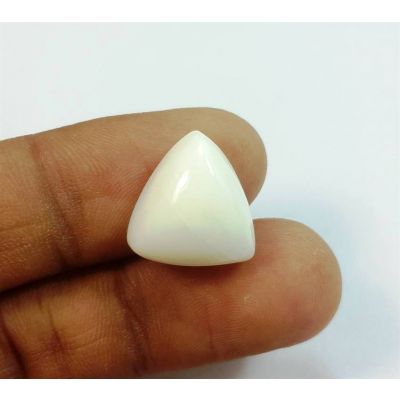 6.23 Carats Italian White Coral 14.59 x 13.19 x 4.94 mm