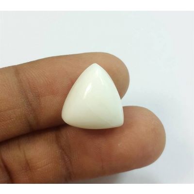 6.73 Carats Italian White Coral 14.09 x 13.63 x 5.21 mm