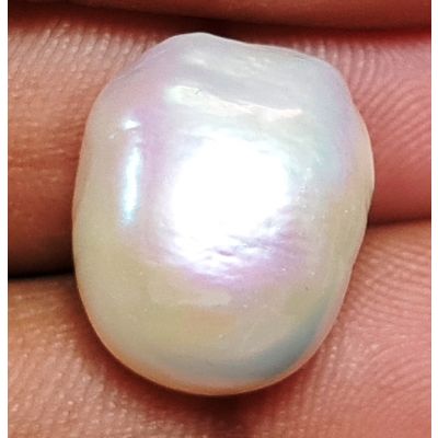 18.11 carats Natural White Venezuela Pearl 15.55x12.01x12.40 mm 