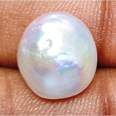 8.59 carats Natural White Venezuela Pearl 10.70x10.59x10.84 mm