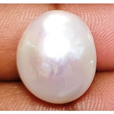 15.86 carats Natural White Venezuela Pearl 14.48x12.01x12.59 mm