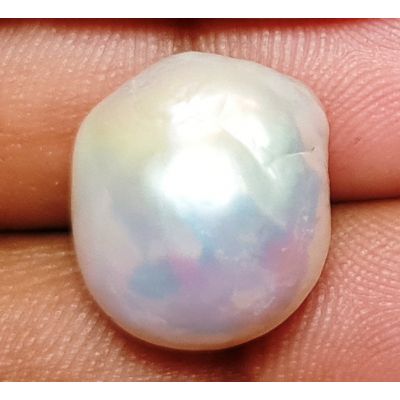17.56 carats Natural White Venezuela Pearl 14.89x13.78x12.39 mm