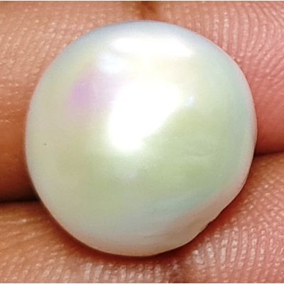 15.64 carats Natural White Venezuela Pearl 13.49x13.03x13.01 mm