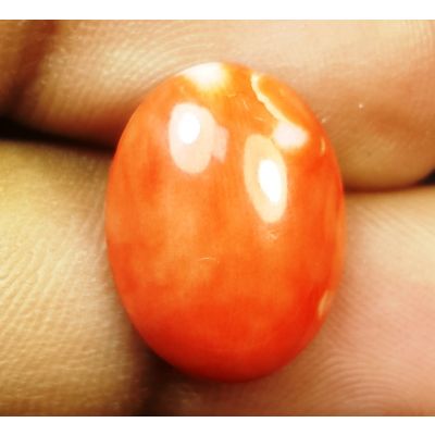 5.33 Carats Natural Orange Coral 15.90x12.02x4.10mm