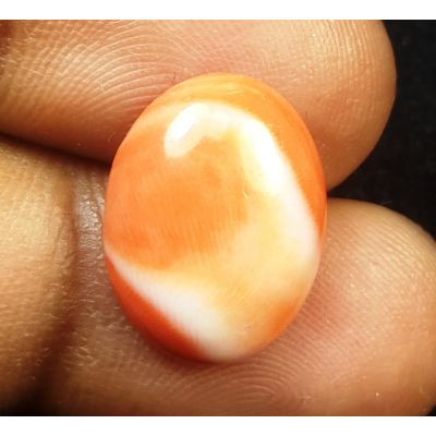5.84 Carats Natural Orange Coral 15.98x12.11x4.05m