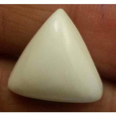7.81 Carats Italian White Coral 13.14 x 12.22 x 6.60 mm