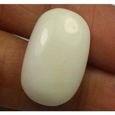 16.03 Carats Italian White Coral 16.18 x 10.47 x 8.62 mm