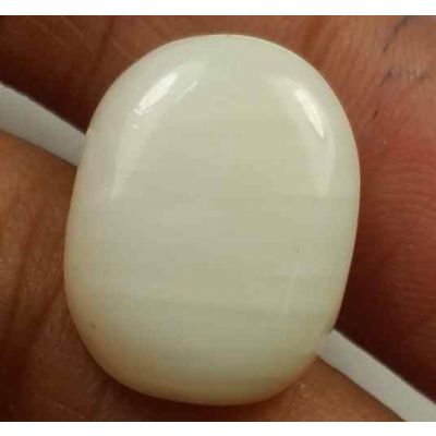 14.85 Carats Italian White Coral 16.95 x 14.23 x 5.72 mm
