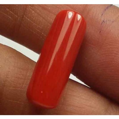 5.75 Carats Red Italian Coral 17.74 x 5.86 x 5.54 mm
