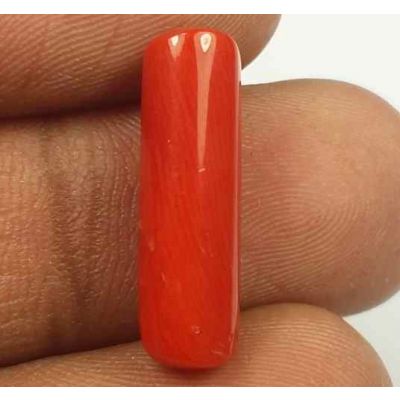 5.55 Carats Red Italian Coral 18.46 x 5.60 x 5.58 mm