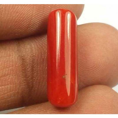 5.95 Carats Red Italian Coral 18.75 x 5.78 x 5.65 mm