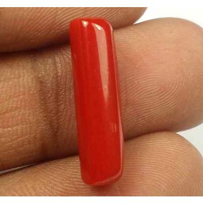 5.55 Carats Red Italian Coral 19.28 x 5.57 x 5.46 mm