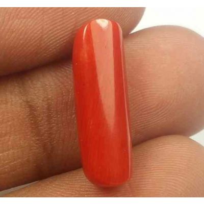 5.40 Carats Red Italian Coral 19.25 x 6.08 x 4.80 mm