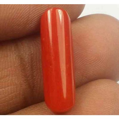 5.80 Carats Red Italian Coral 19.04 x 5.80 x 5.44 mm