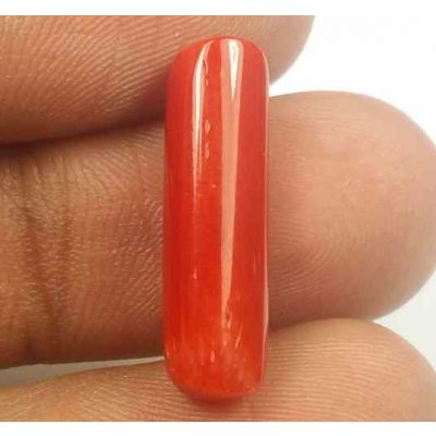 5.55 Carats Red Italian Coral 20.25 x 5.67 x 5.28 mm