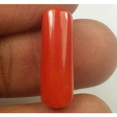 6.18 Carats Red Italian Coral 18.99 x 6.12 x 5.58 mm