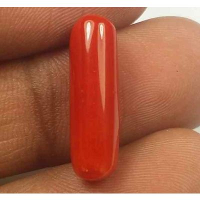 5.25 Carats Red Italian Coral 18.61 x 5.70 x 5.22 mm