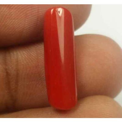 5.48 Carats Red Italian Coral 19.02 x 6.11 x 5.09 mm