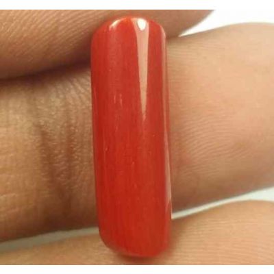 6.38 Carats Red Italian Coral 19.84 x 6.19 x 5.38  mm