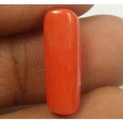 5.37 Carats Red Italian Coral 18.39 x 6.25 x 4.84 mm