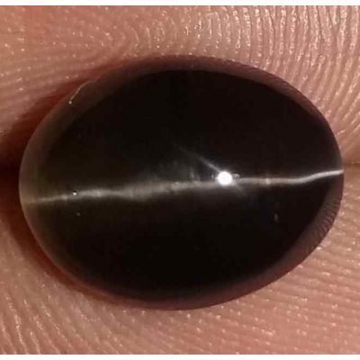 4.96 Carats Sillimanite Cat's Eye 10.85 x 8.53 x 6.02 mm