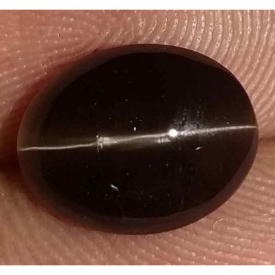 3.00 Carats Sillimanite Cat's Eye 9.40 x 7.30 x 5.18 mm