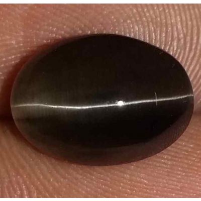 5.32 Carats Sillimanite Cat's Eye 11.80 x 8.40 x 6.15 mm