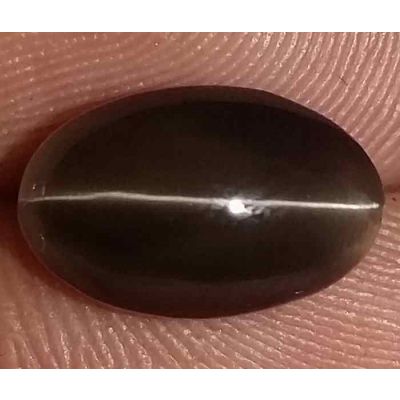 3.88 Carats Sillimanite Cat's Eye 10.50 x 6.75 x 6.06 mm