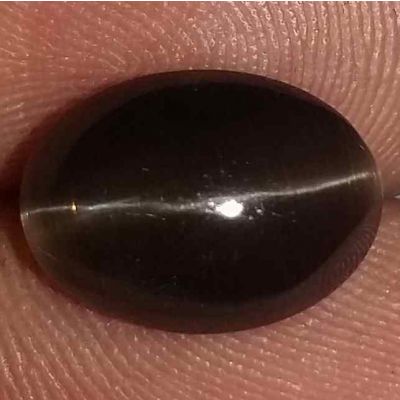 4.40 Carats Sillimanite Cat's Eye 11.13 x 8.10 x 5.85 mm