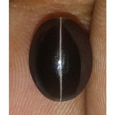 3.25 Carats Sillimanite Cat's Eye 10.20 x 7.61 x 4.90 mm