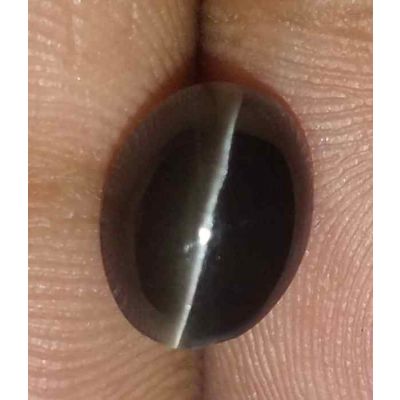 2.73 Carats Sillimanite Cat's Eye 8.90 x 6.80 x 5.11 mm