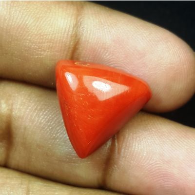 18.30 Carats Natural Red Coral 17.42 x 16.67 x 11.41 mm