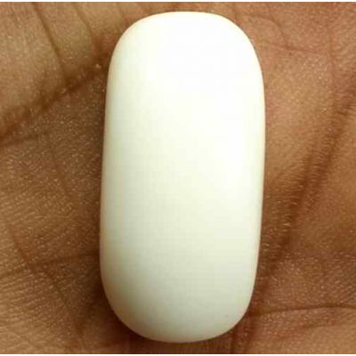 18.66 Carats Italian White Coral 22.29 x 10.92 x 7.77 mm