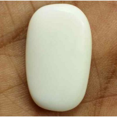 12.16 Carats Italian White Coral 21.28 x 13.12 x 4.49 mm